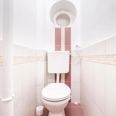 Elisabeth 凯斯特海伊